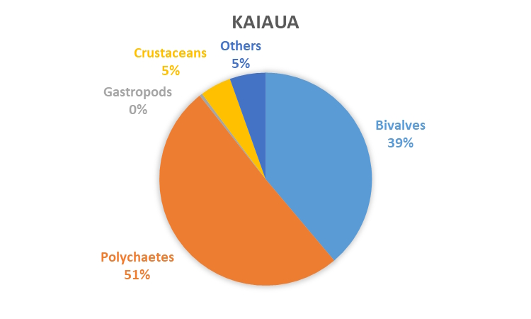 REMP monitoring results - data graph - Kaiaua macrofauna